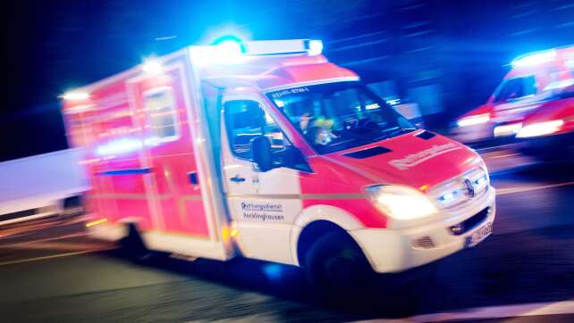 Tierpark in Ostwestfalen: Tiger verletzt Mitarbeiterin