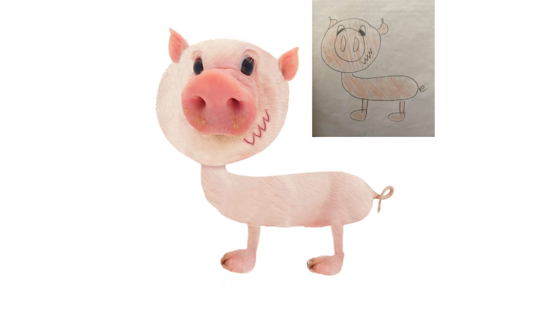 Grunz das Schwein