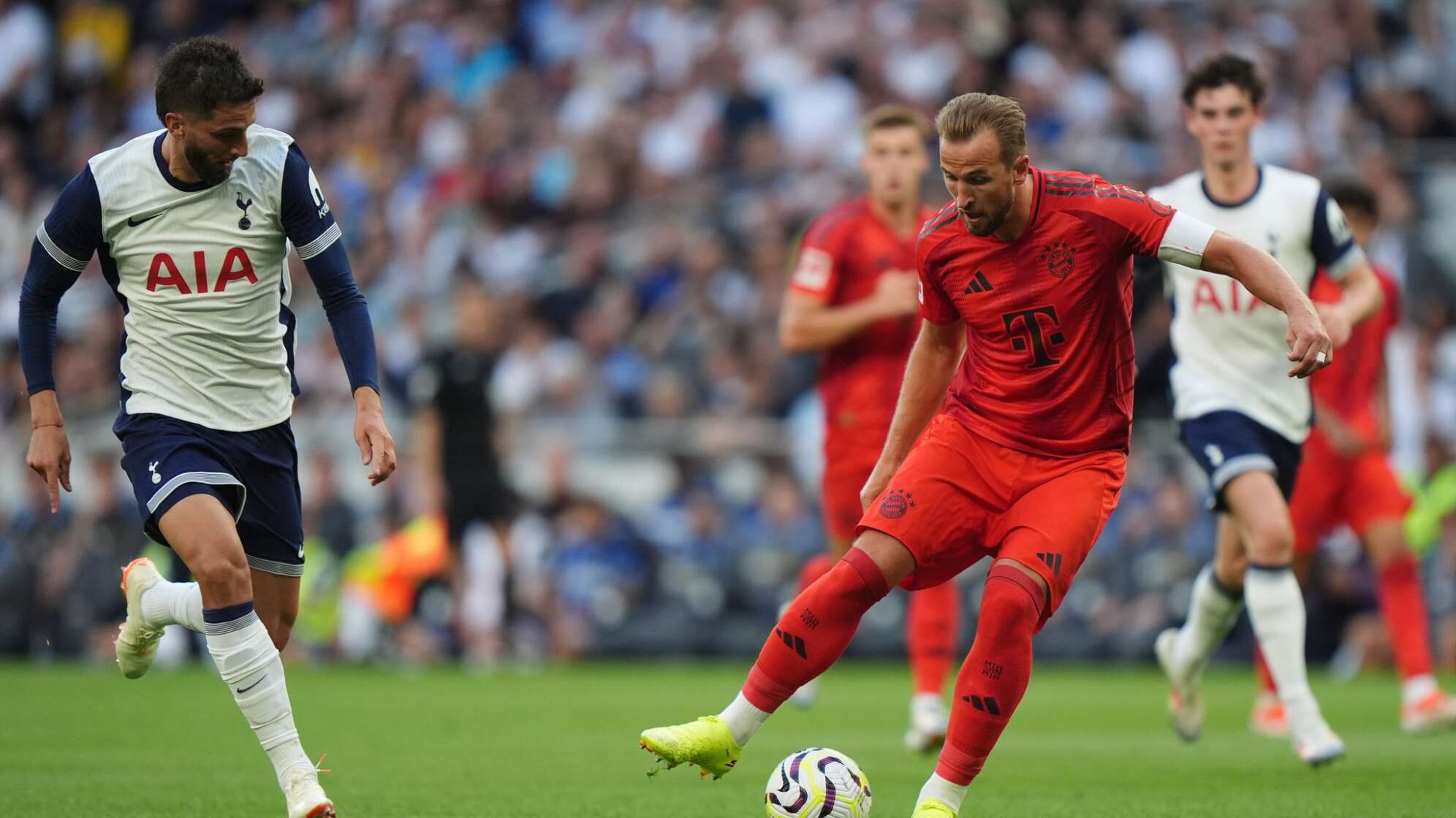 Harry Kane