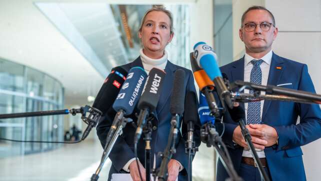 AfD scheitert bei Wahl um Ausschussvorsitze