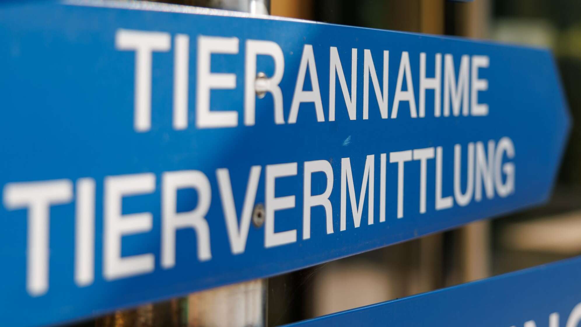 Tierheim Nürnberg