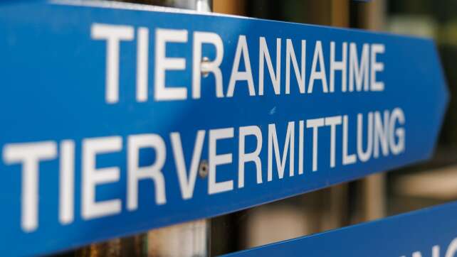 Über 200 Tiere in Wohnhaus - Veterinäramt schreitet ein
