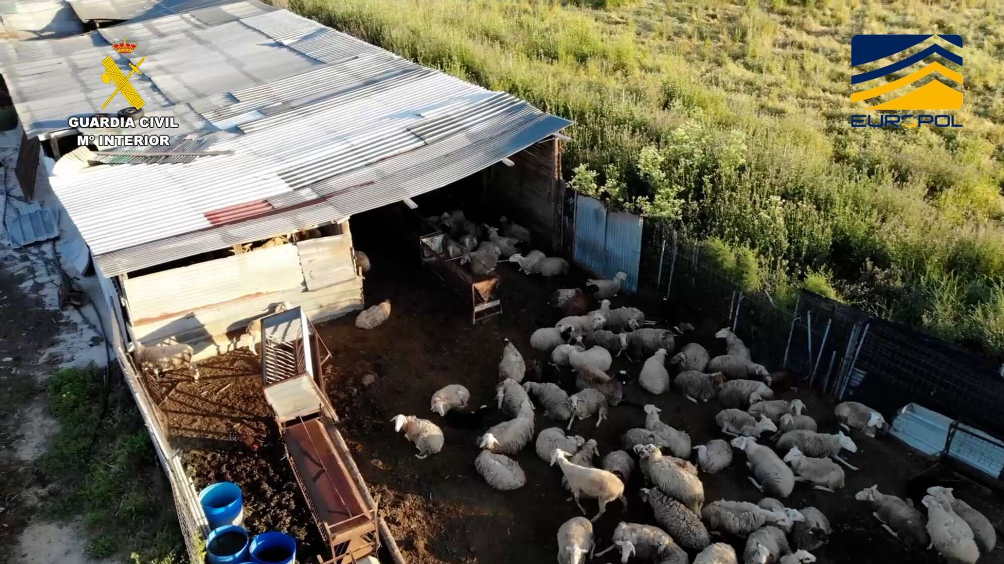 Fleischskandal in Madrid enthüllt