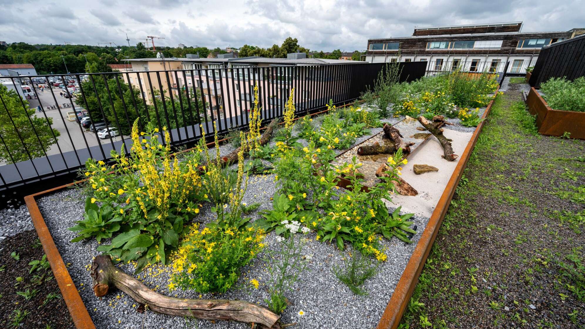 Pflanzen auf dem Dach eines Wohngebäudes