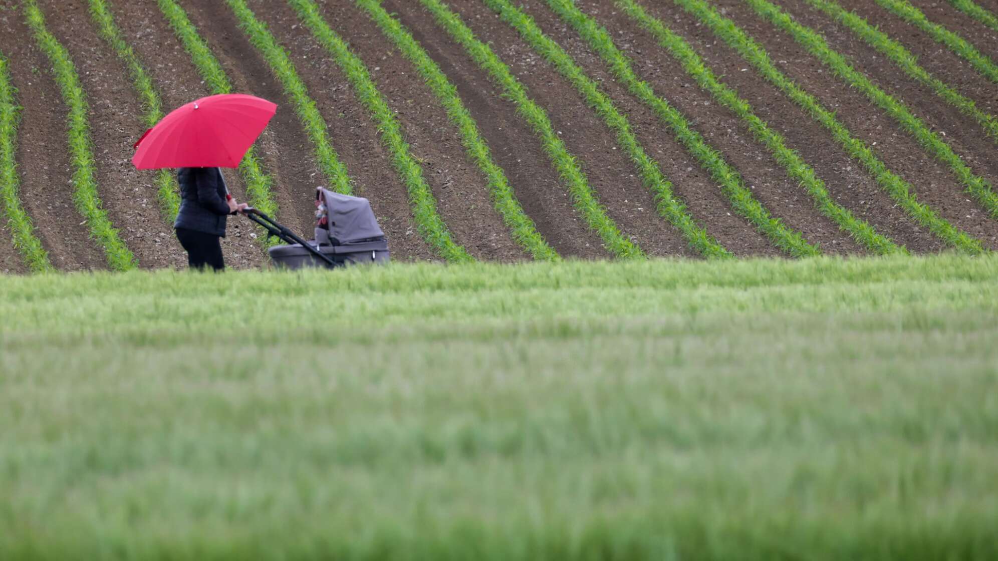 Wetter in Baden-Württemberg