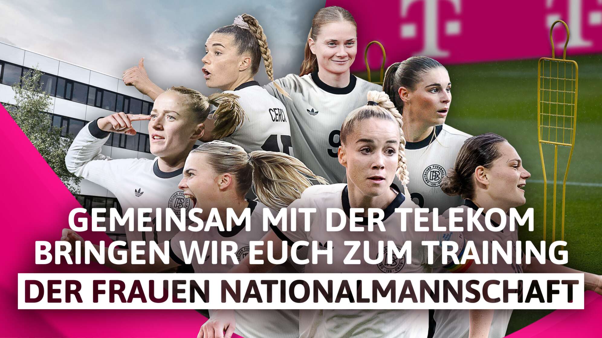 dfb frauen