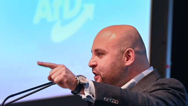 Frohnmaier ist Spitzenkandidat der AfD in Baden-Württemberg