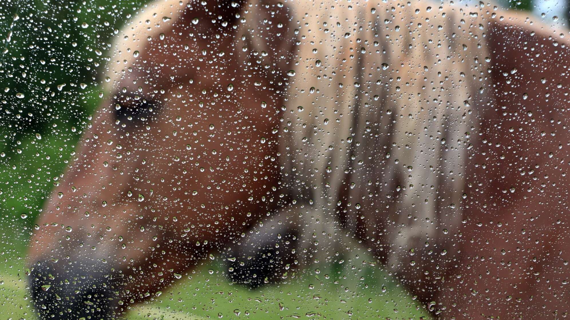 Wechselhaftes Wetter in Bayern