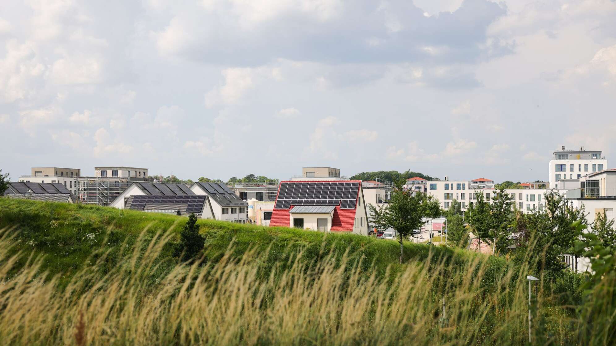 Einfamilienhäuser in einem Neubaugebiet