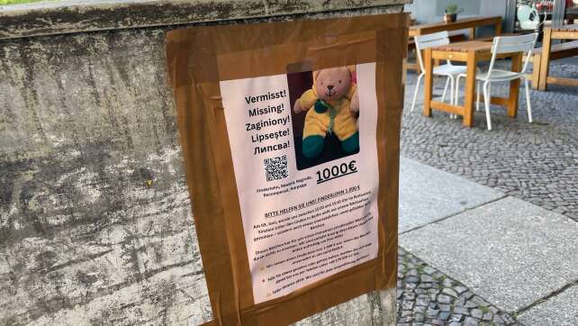 Teddy verzweifelt gesucht: 1.000 Euro für «Mini» ausgesetzt
