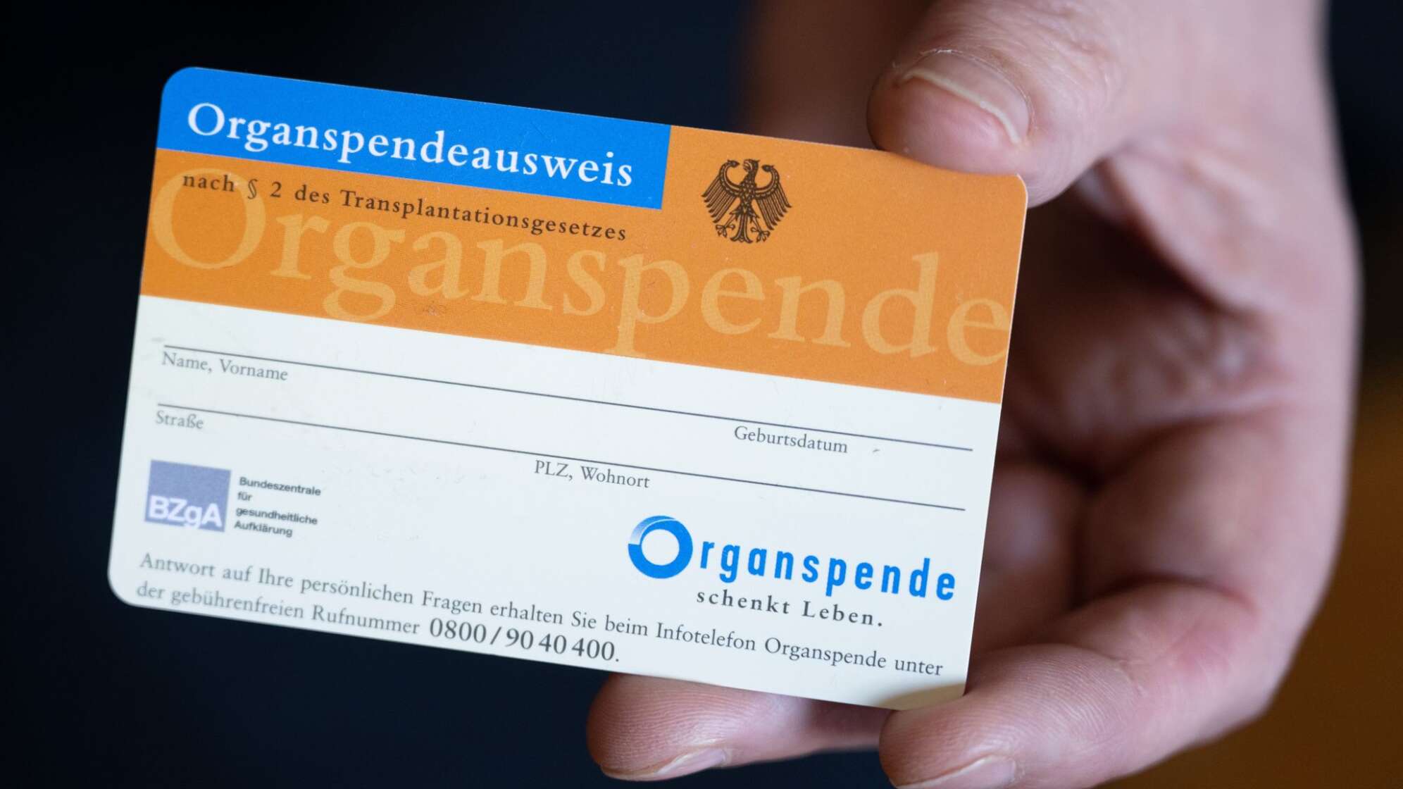 Eine Frau hält einen Organspendeausweis in ihren Händen