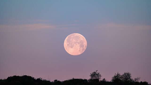 Erdbeermond 2025: Alles über das Himmelsereignis am 11. Juni