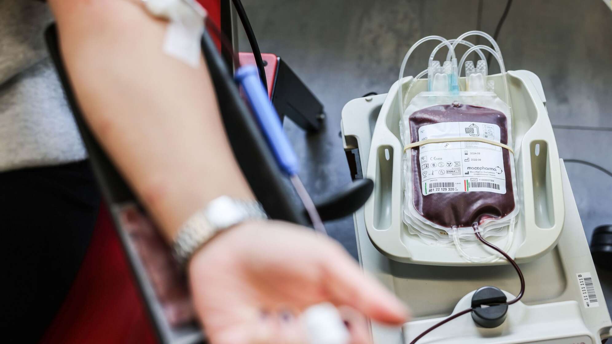 Eine Person spendet Blut im DRK-Blutspendezentrum