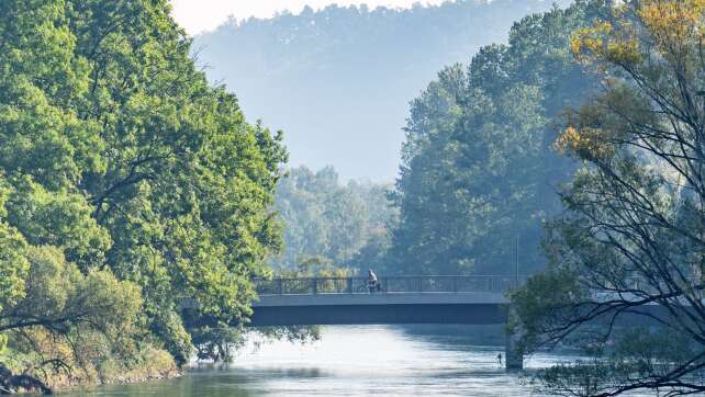 Kleine Streber wieder da: Seltene Fische in Isar ausgesetzt