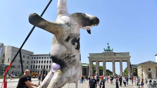 Kuh-Attrappe am Brandenburger Tor
