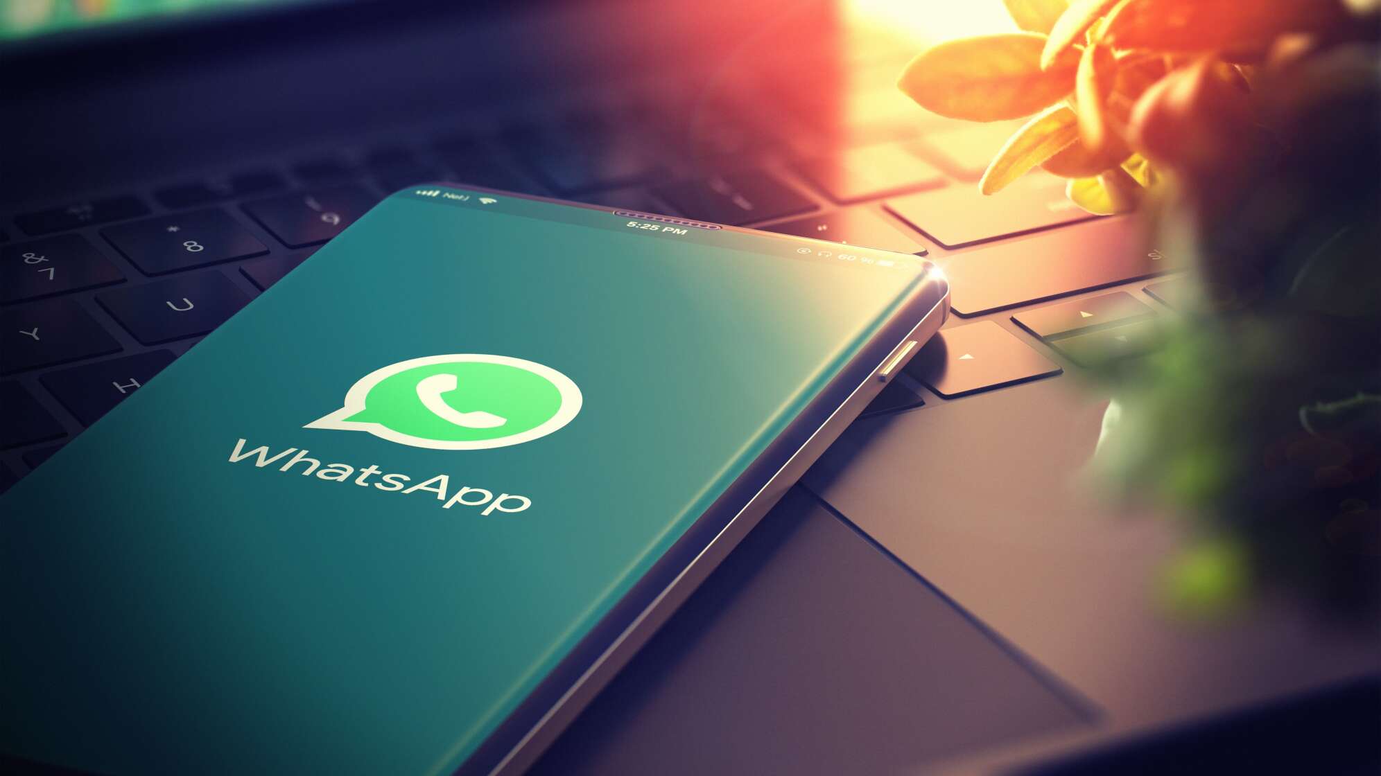 Chat GPT für WhatsApp