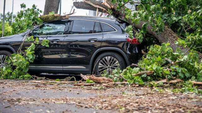 Nach Sturm-Chaos: Bahn-Verkehr in Berlin läuft wieder an