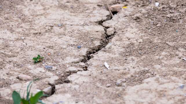 ORH kritisiert Bayerns Förderungen von Agrar-Versicherungen