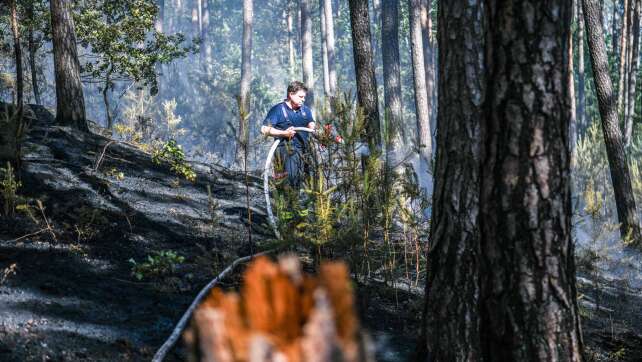 Gefahr von Waldbränden in Bayern ist hoch