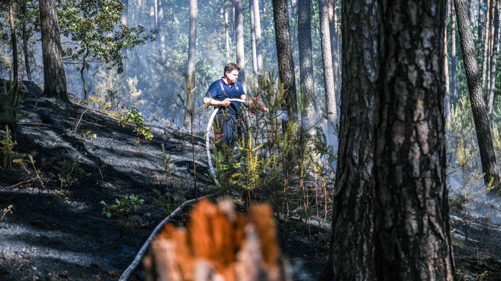 Waldbrand bei Wendelstein
