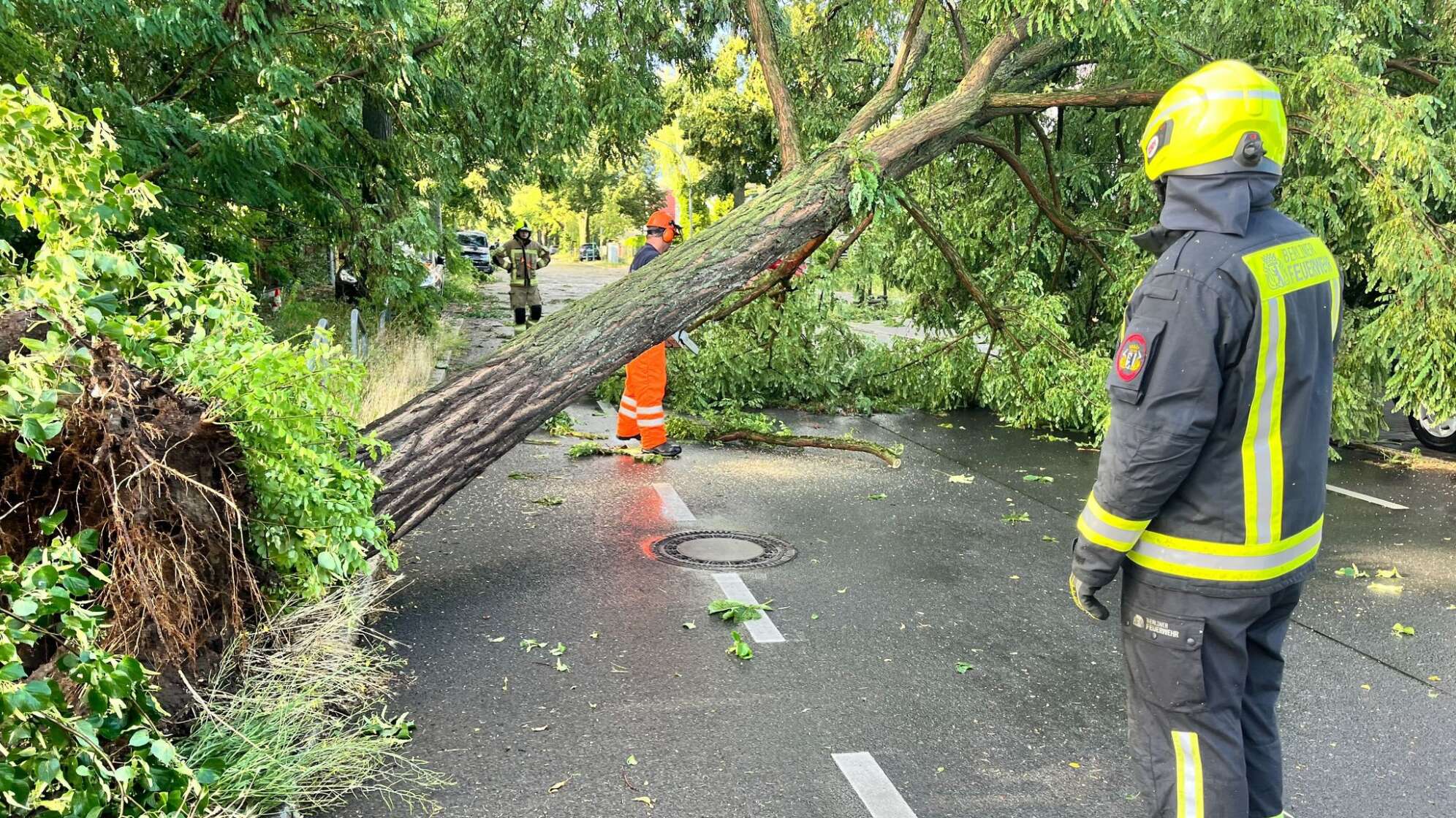 Gewitter in Berlin und Brandenburg