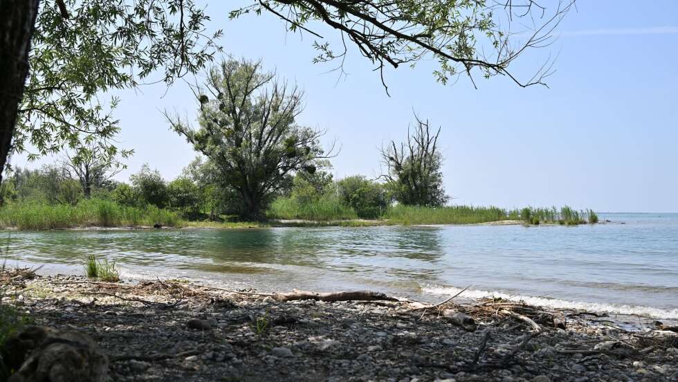 Baden in Bayern: Top Wasserqualität und aktuelle Temperaturen in den Badeseen zum Start der Pfingstferien – alle Infos zu Chiemsee, Bodensee, Rottachsee & Co.