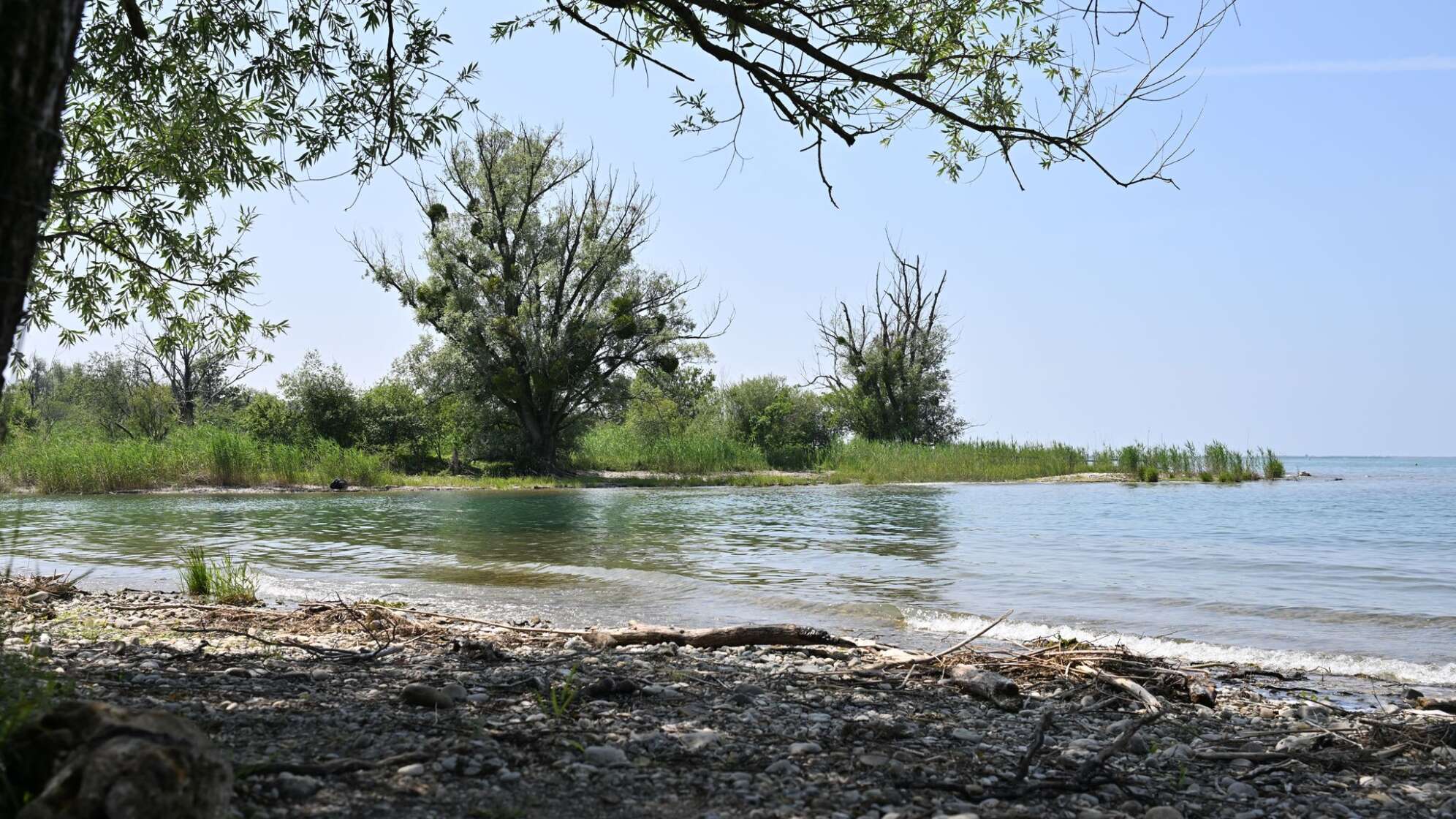 Nacktbaden am Bodensee