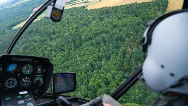 Badewetter und steigende Waldbrandgefahr in Bayern