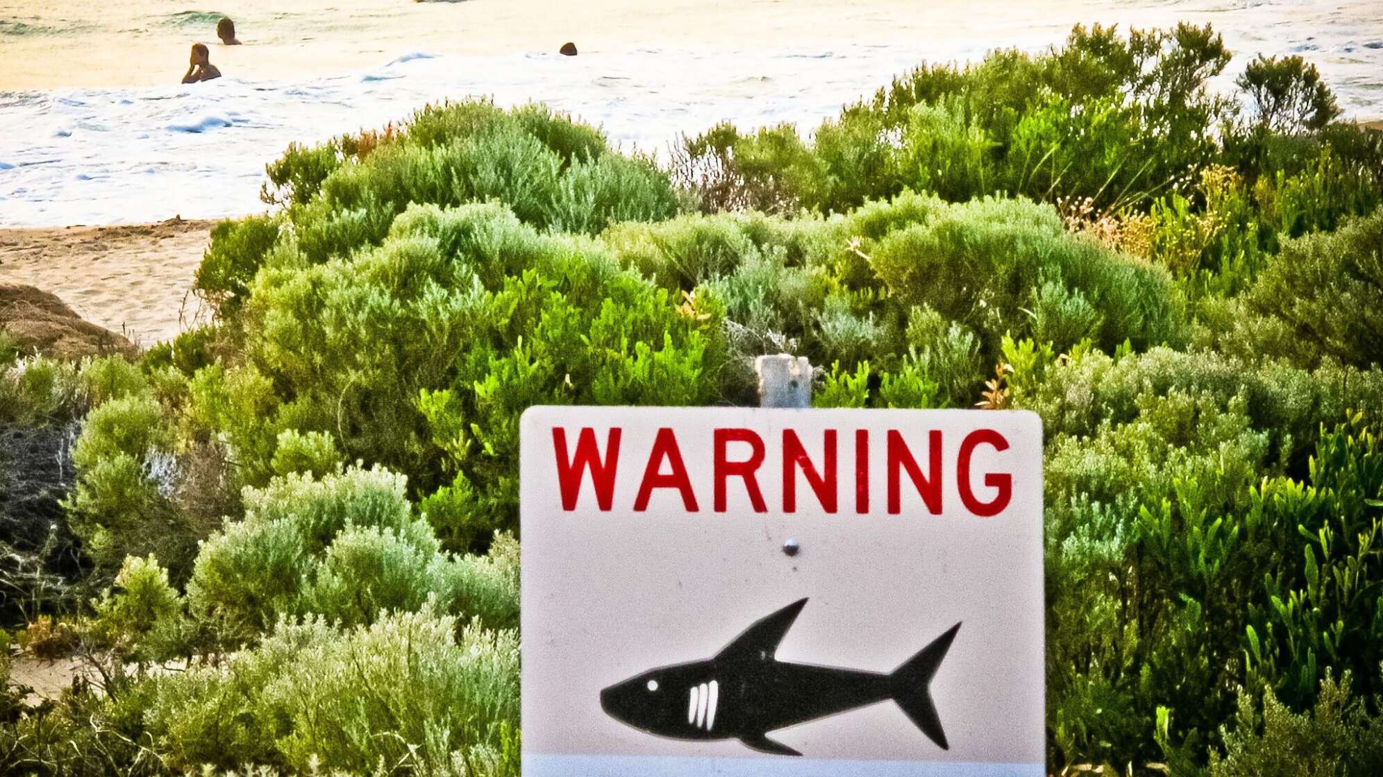 Teenager in Australien von Hai attackiert