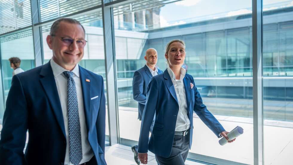 AfD-Chefs bekommen deutlich mehr Geld