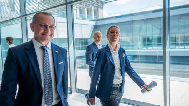 AfD-Chefs bekommen deutlich mehr Geld