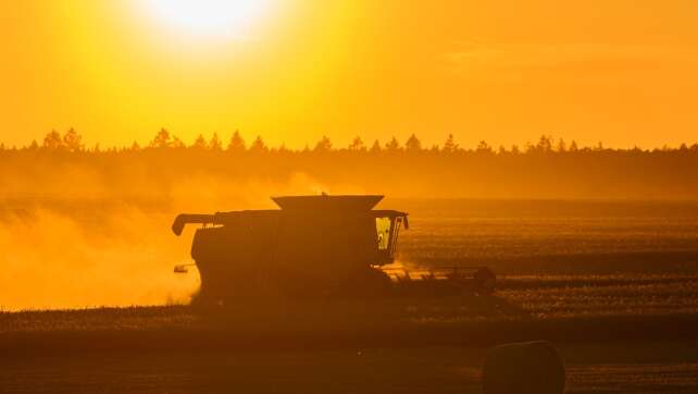 Heißer Dienstag steht bevor - Warnungen vor extremer Hitze