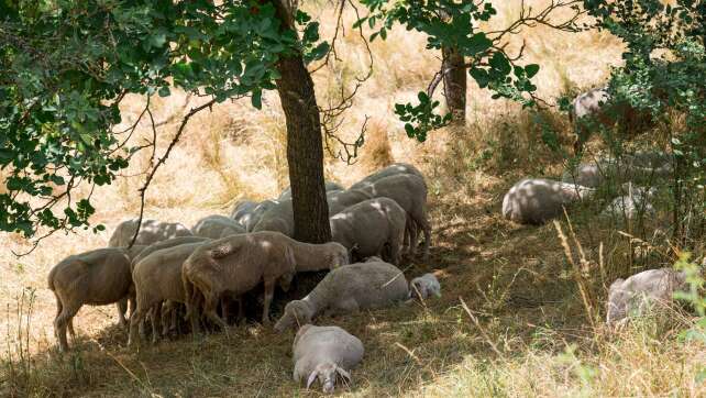 Ökologischer Notstand - Bayerns Tiere und Pflanzen in Gefahr