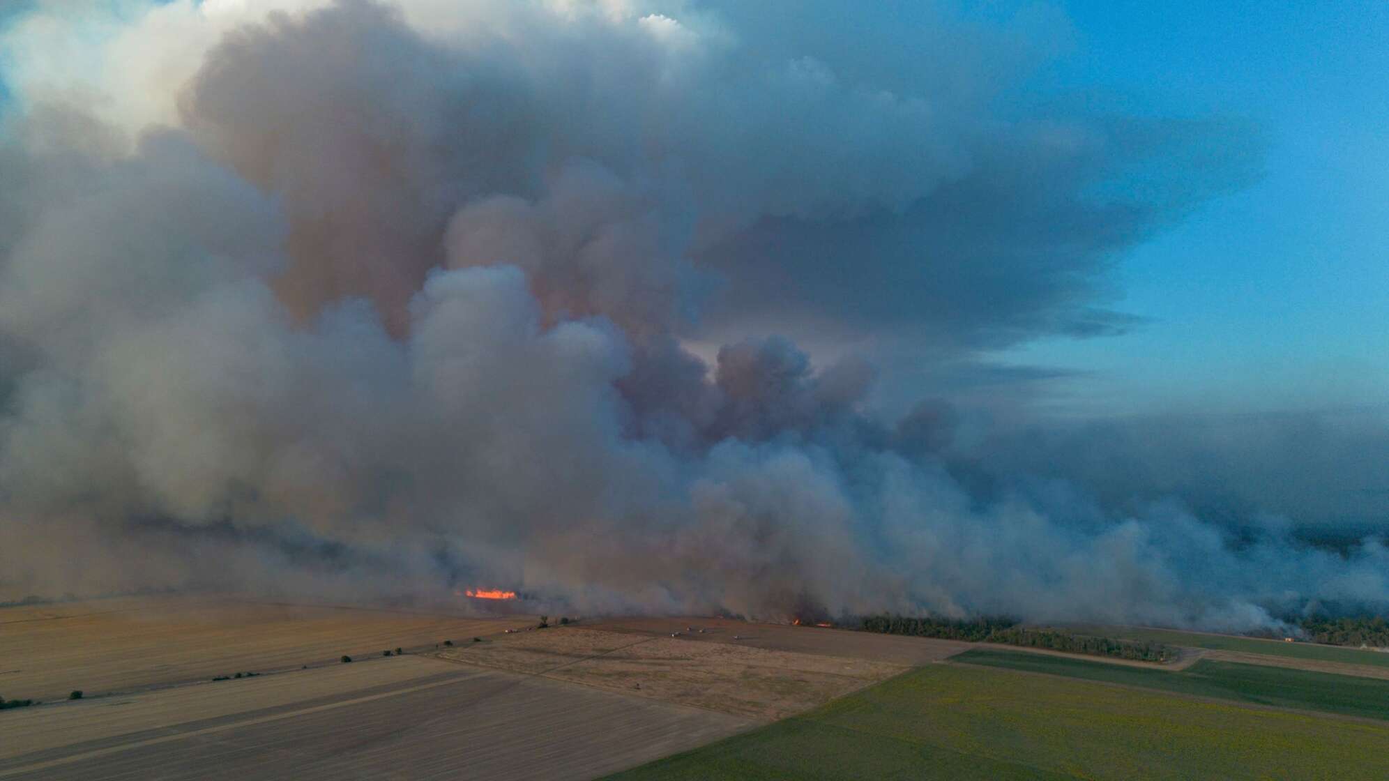 Waldbrand in der Gohrischheide
