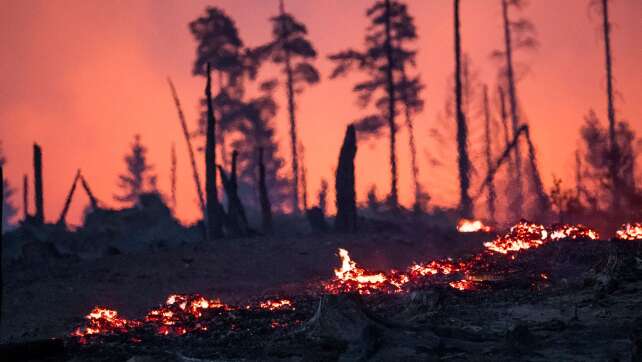 Waldbrand auf Saalfelder Höhe - Landkreise warnen vor Rauch
