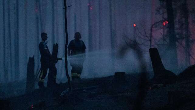 Waldbrand auf Saalfelder Höhe bislang nicht gelöscht