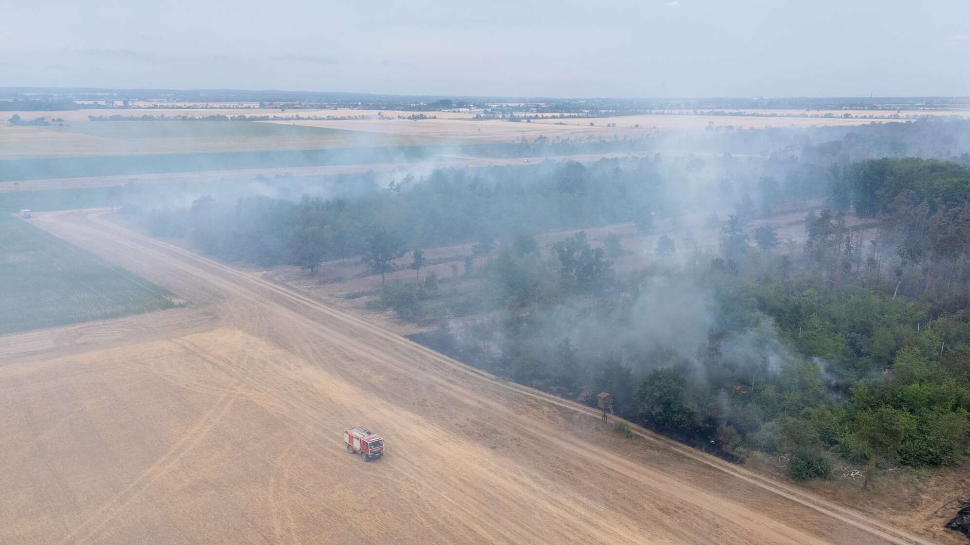 Waldbrand Gohrischheide