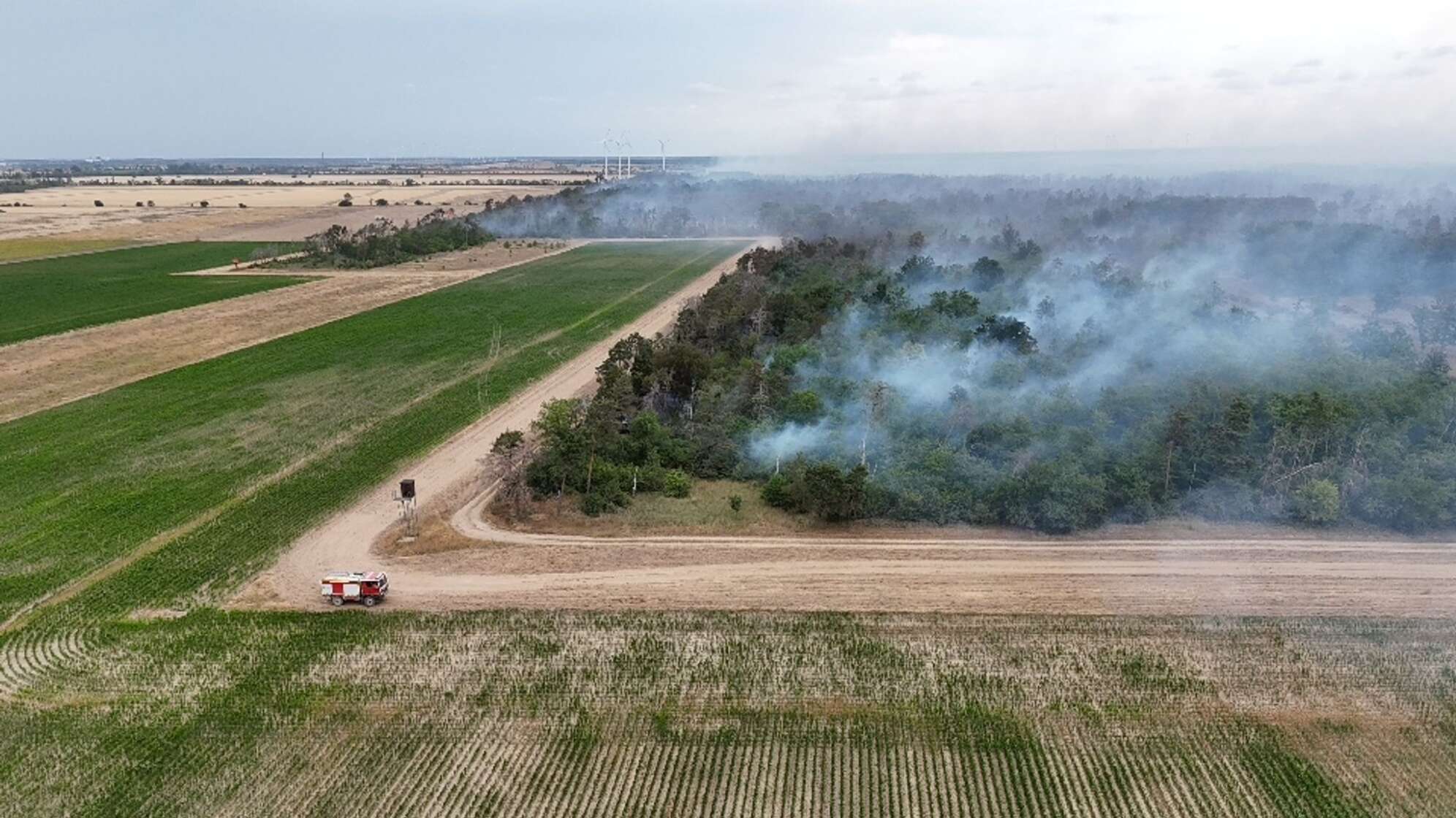 Waldbrand Gohrischheide