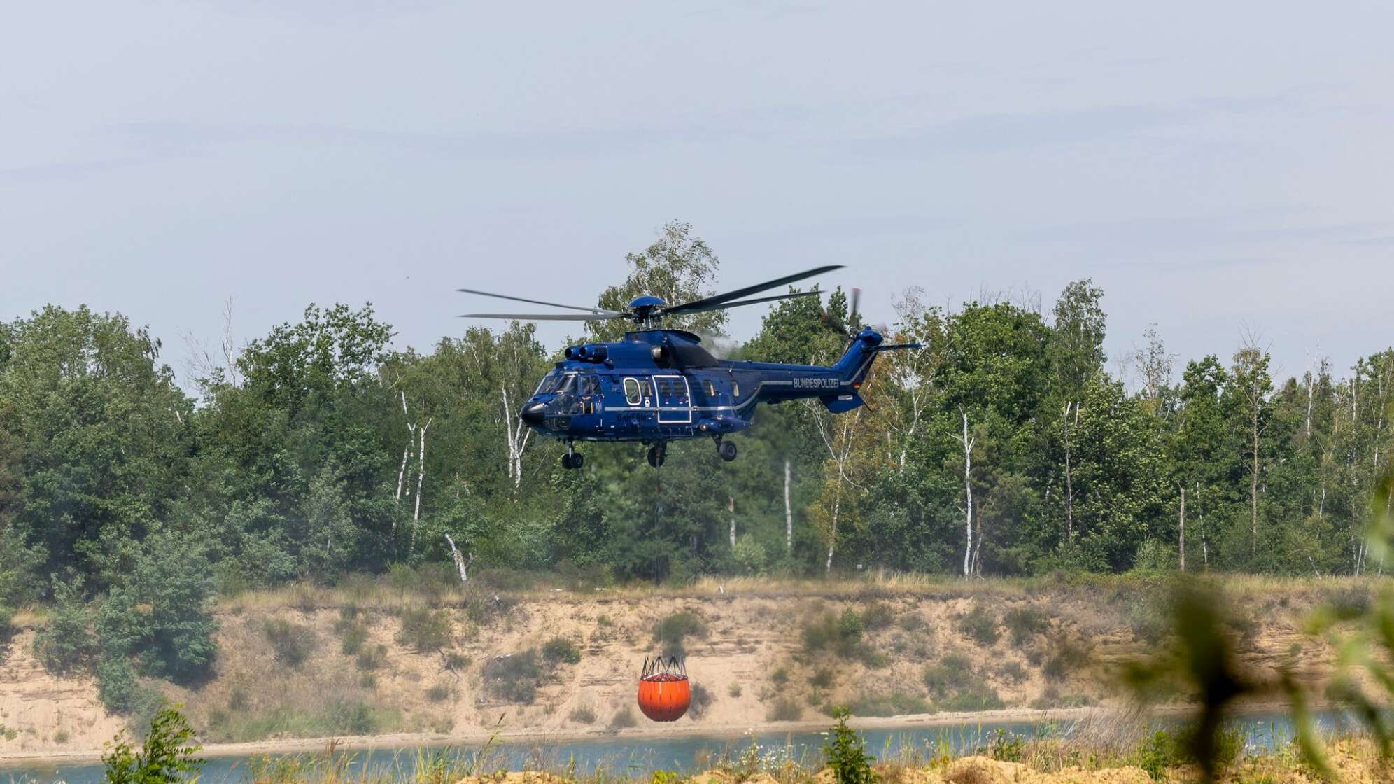 Waldbrand Gohrischheide