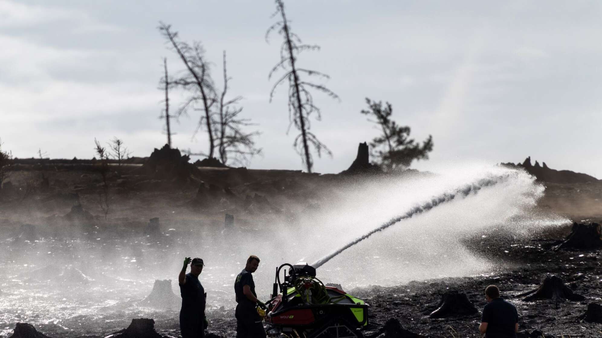 Waldbrand in Thüringen - Saalfelder Höhe