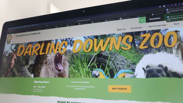 Löwen-Angriff in australischem Zoo: Frau verliert Arm