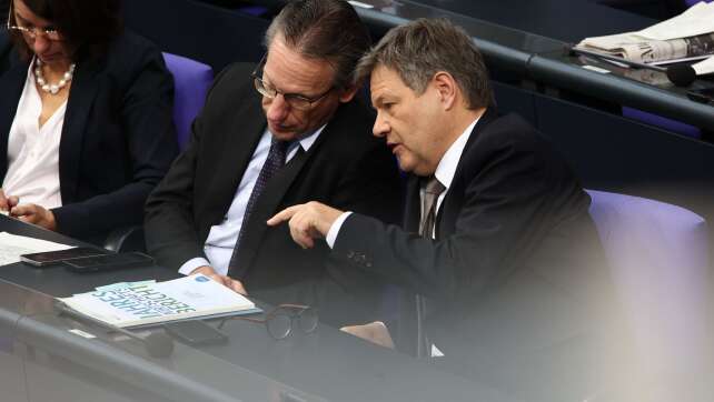 Habeck will Gastprofessor im Ausland werden