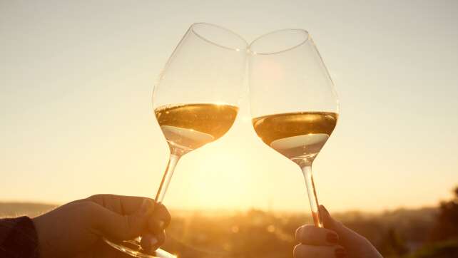 Weinkultur in Bayern: Warum unser Wein ein echter Geheimtipp ist