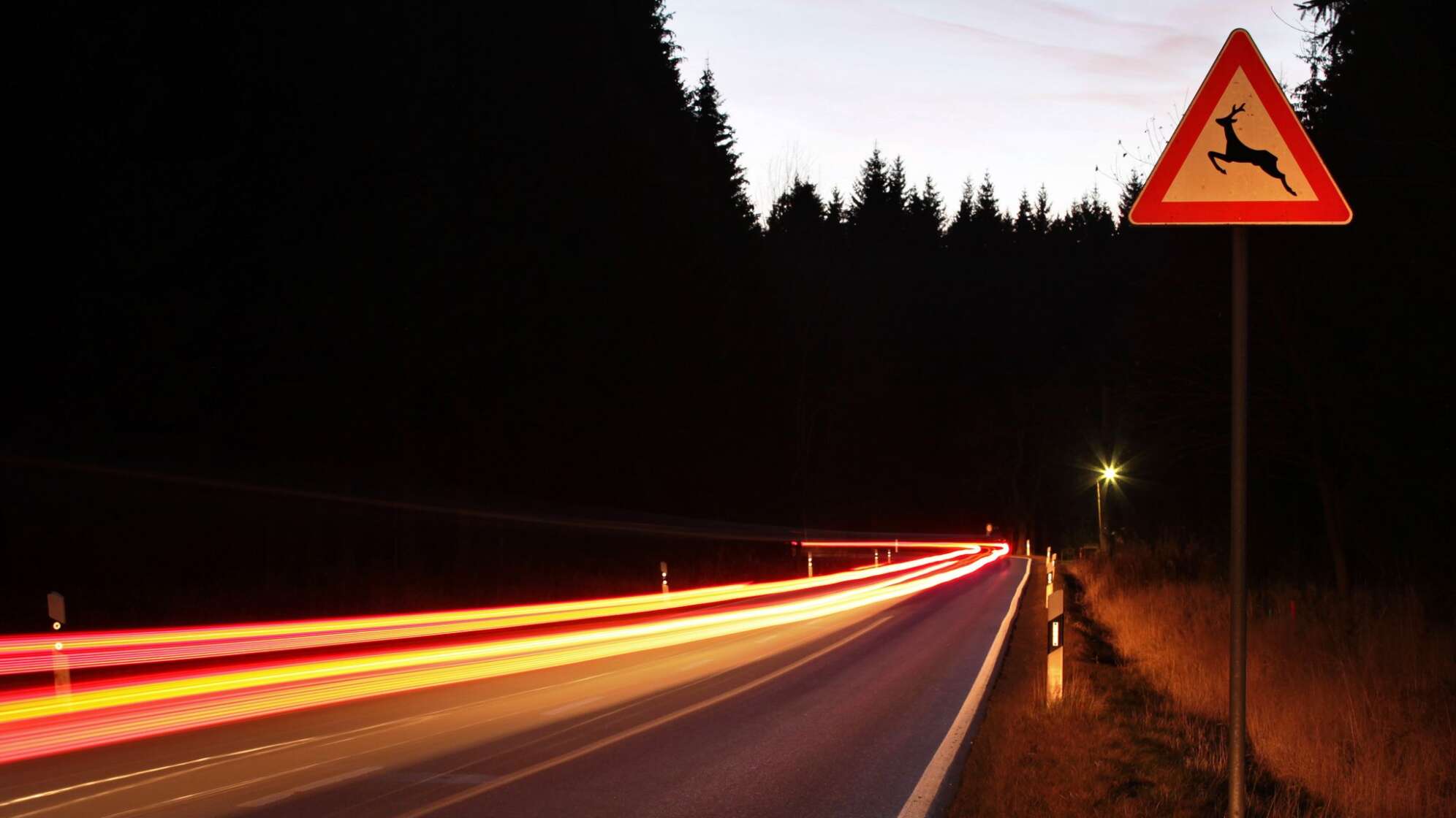 Wildwechsel