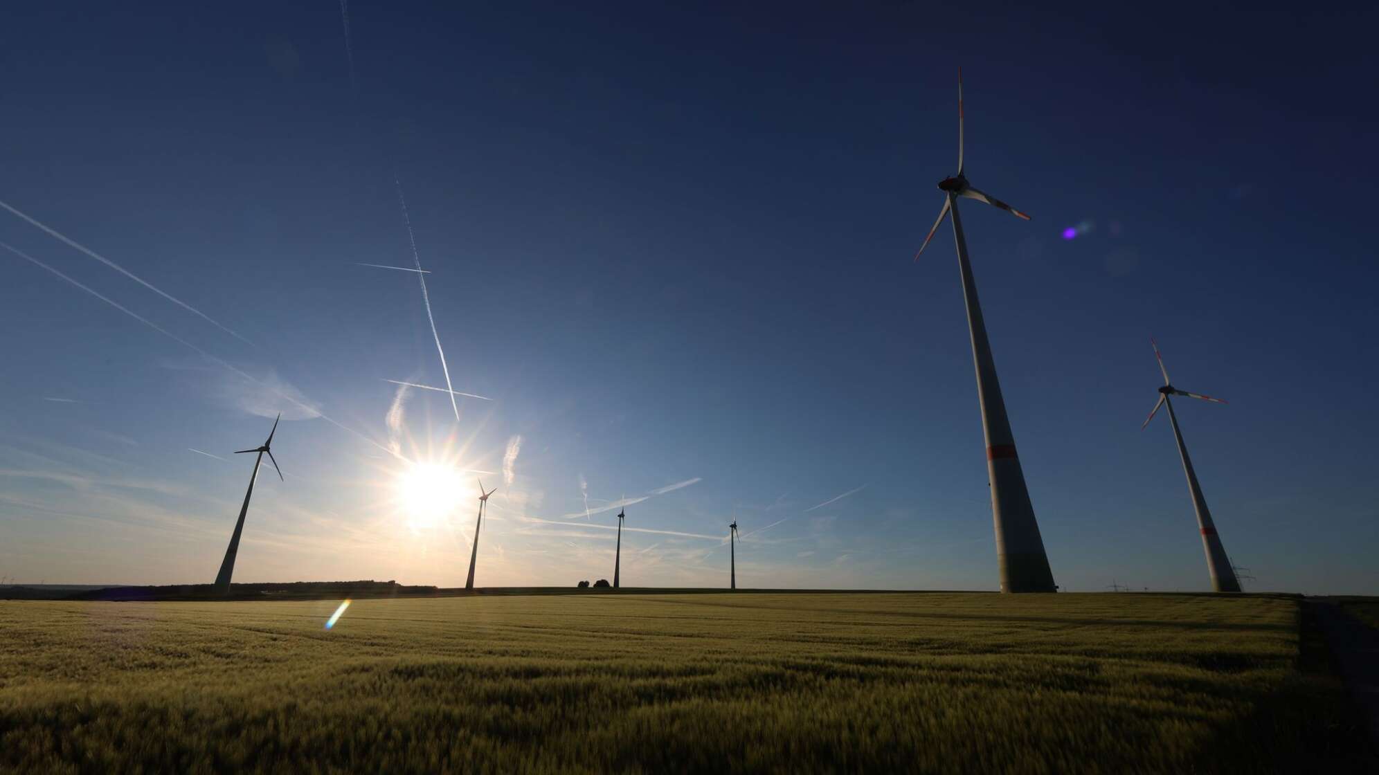 Windräder hinter Getreidefeld