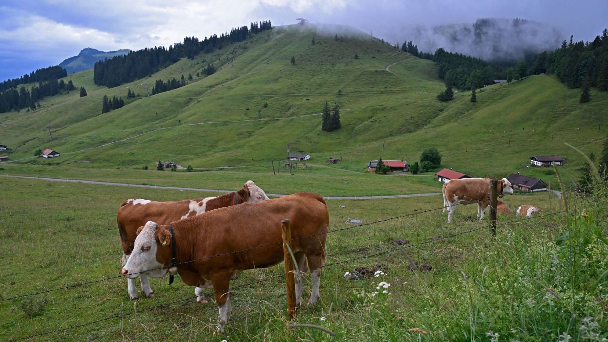 Wetter in Bayern