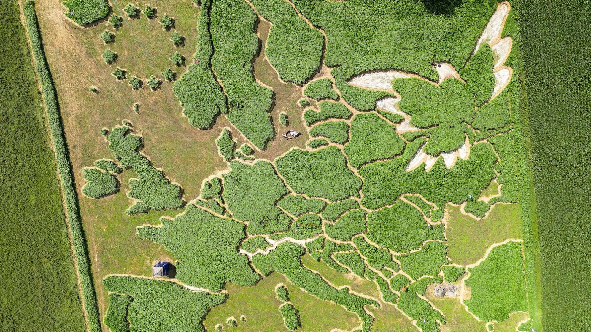 Irrgarten in Utting