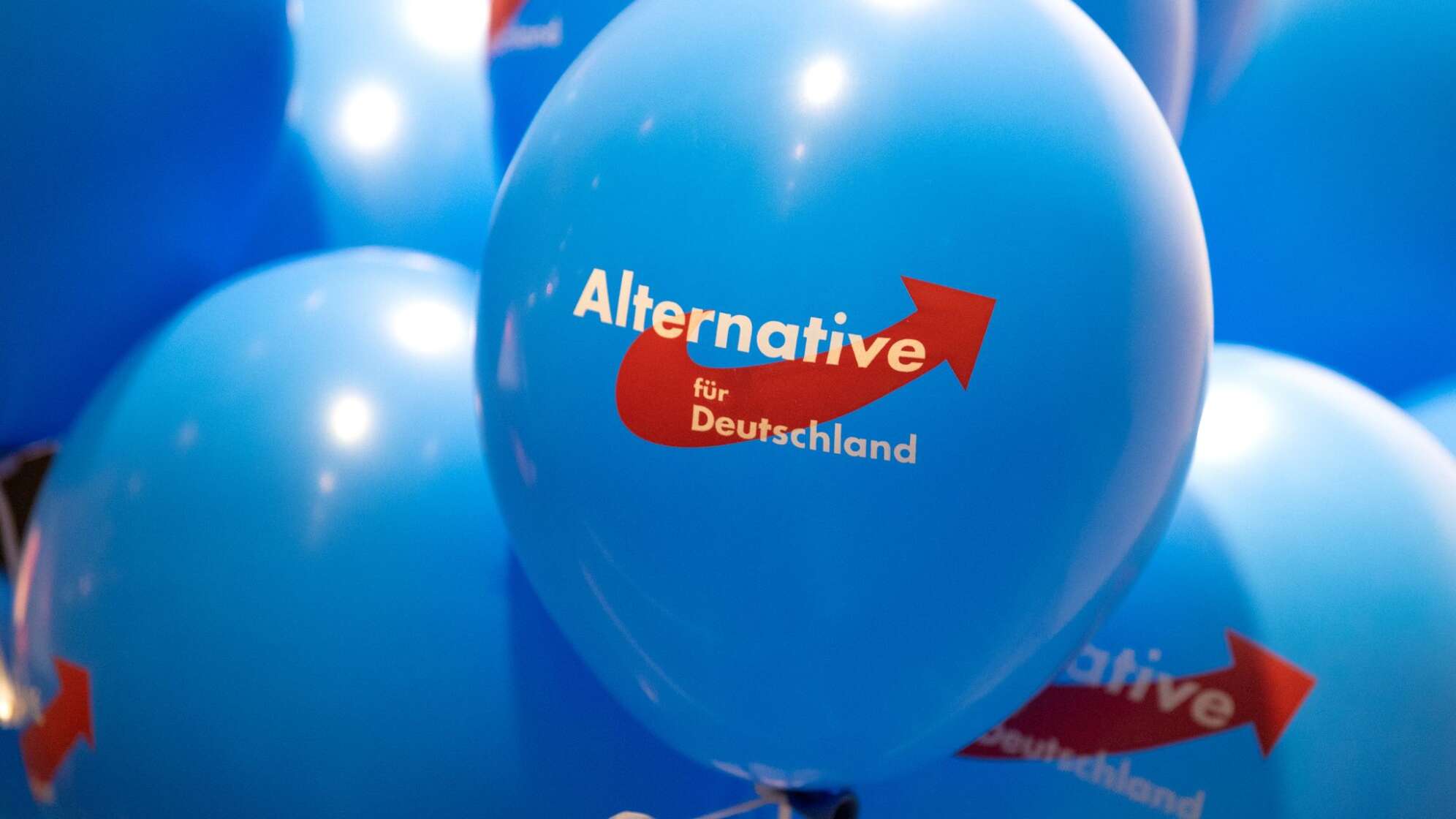 AfD Rheinland-Pfalz