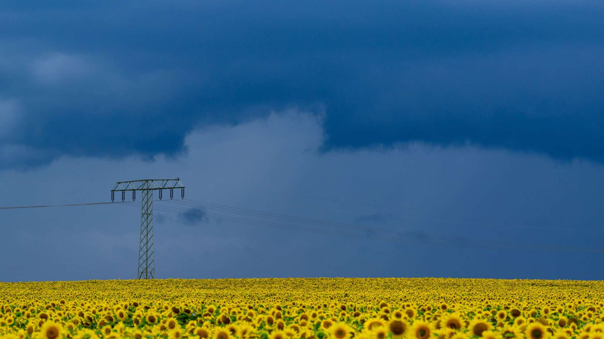 Wetter in Brandenburg