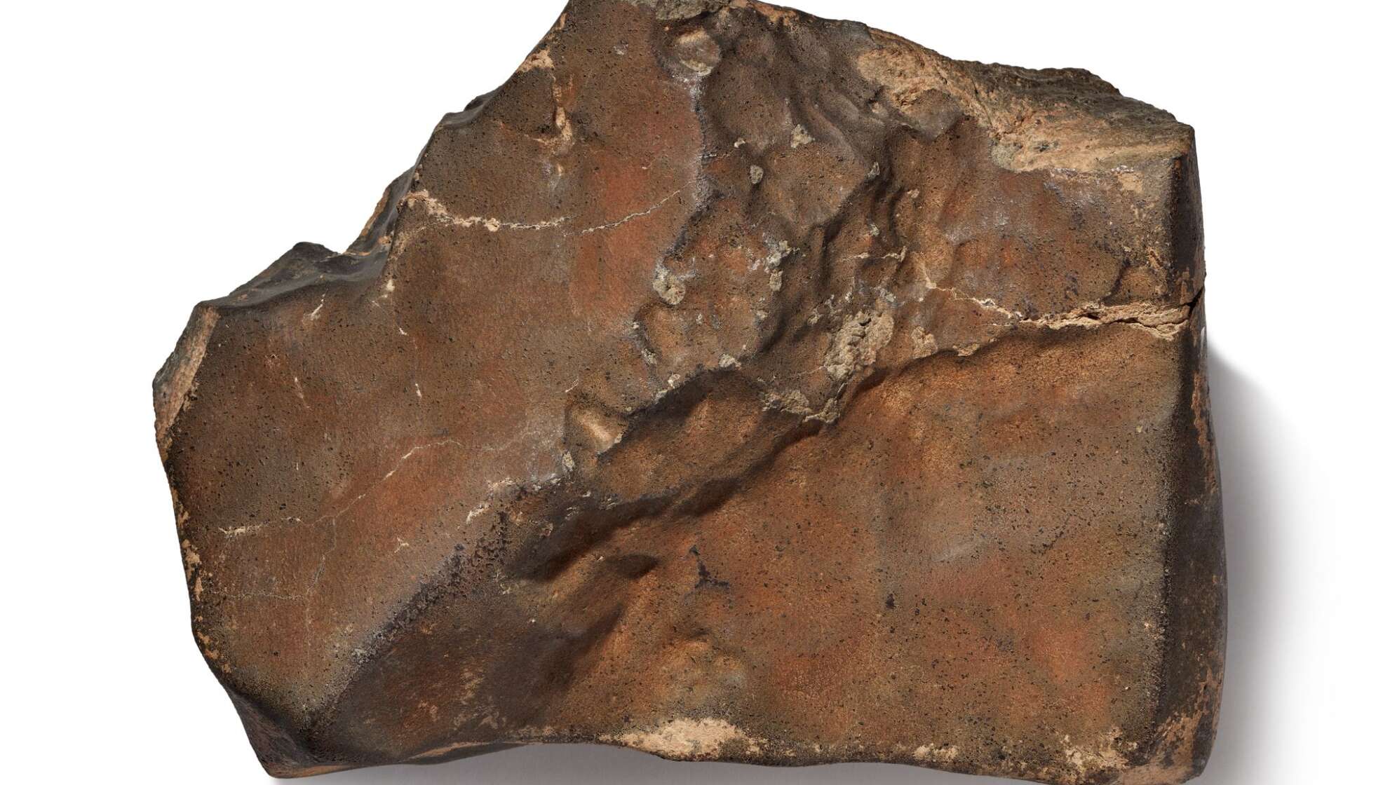 Stück vom Mars versteigert